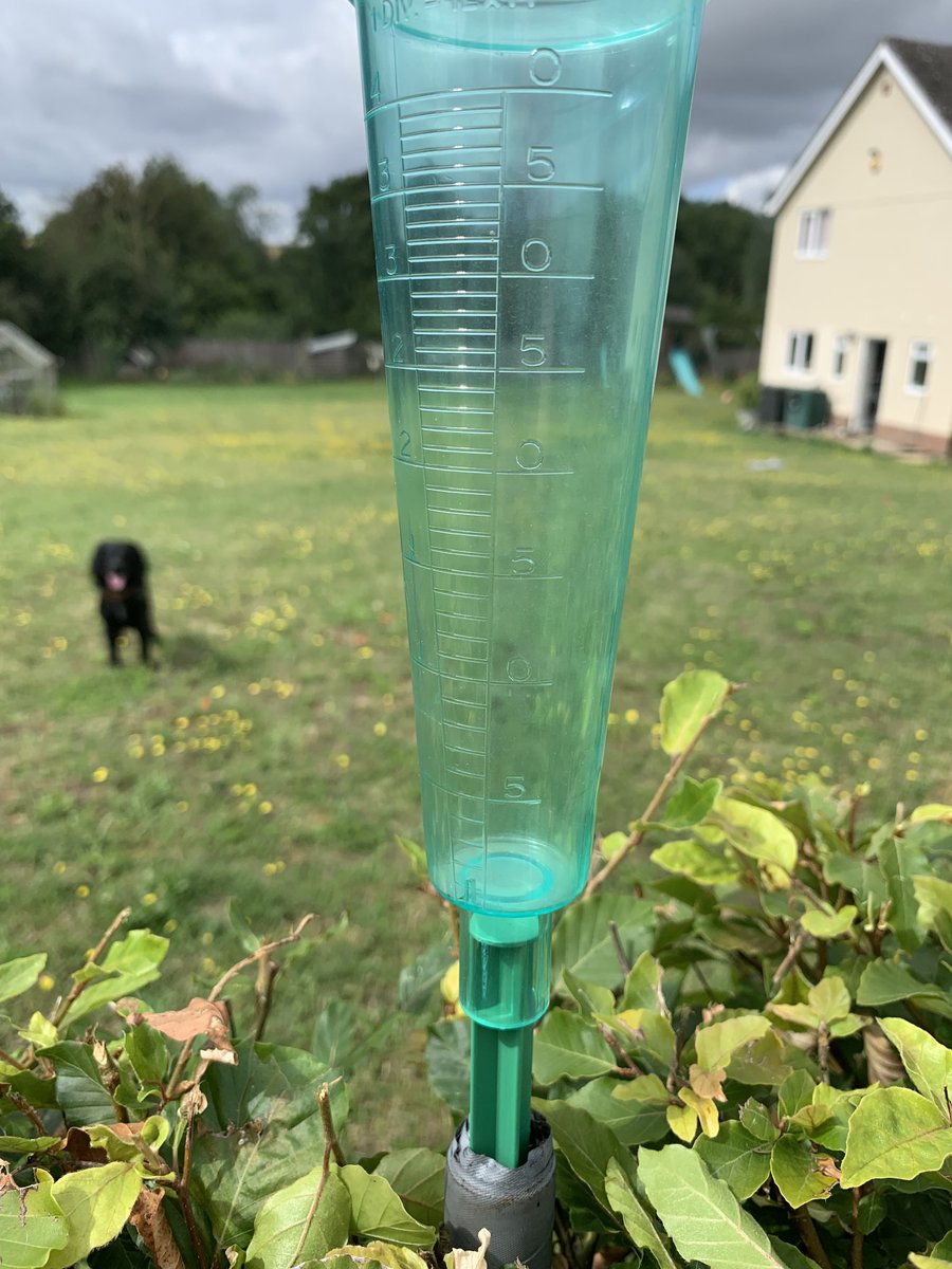 Tom Jewers tweet media