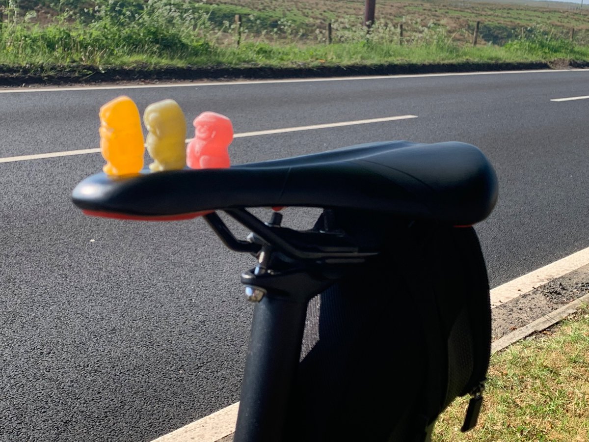 A saddle so comfy that even the cycling snacks get in on the action... 📂 Cyclescheme └ 📂 Love to Ride └ 📂 Photo Gallery └ 📂 Dougie Be like Dougie and share your cycling photos on the free Cyclescheme Love to Ride community buff.ly/2NdKpi6