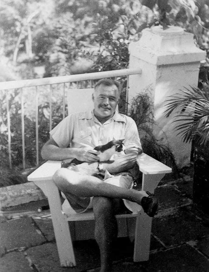 dennistmc's tweet photo. “The best people possess a feeling for beauty, the courage to take risks, the discipline to tell the truth, the capacity for sacrifice. Ironically, their virtues make them vulnerable; they are often wounded, sometimes destroyed.”~Ernest Hemingway https://t.co/el90pXerh6