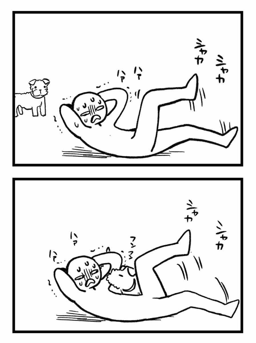 筋トレと犬