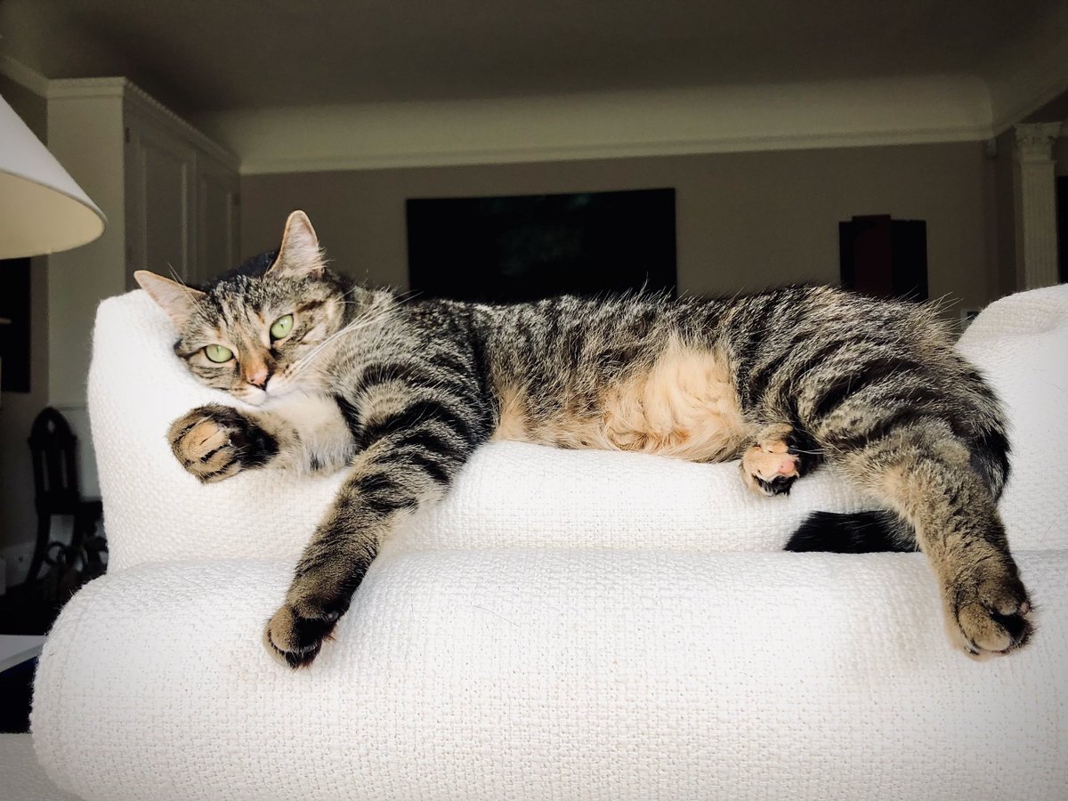 "Life is not a problem to be solved, but a reality to be experienced." - Soren Kierkegaard