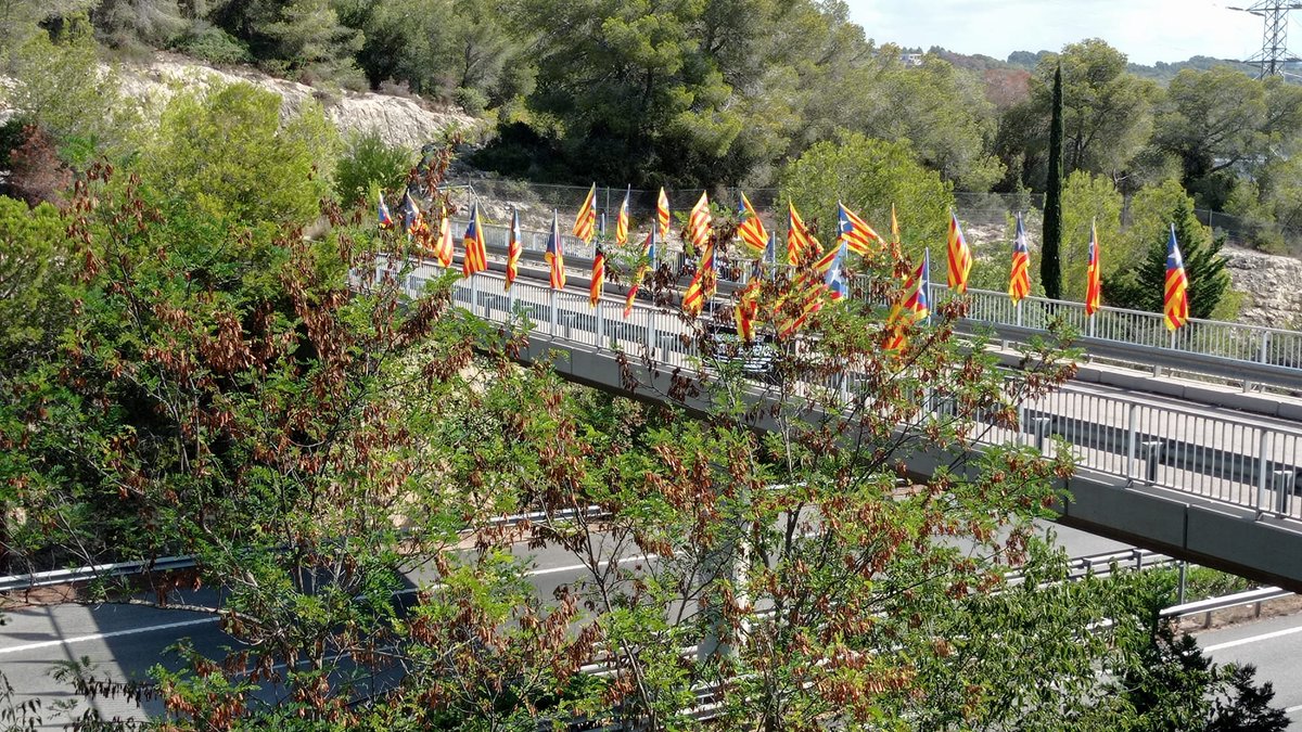 calafell_anc's tweet photo. Ponts per la independència 
2023, Calafell https://t.co/woiD1zYAv9