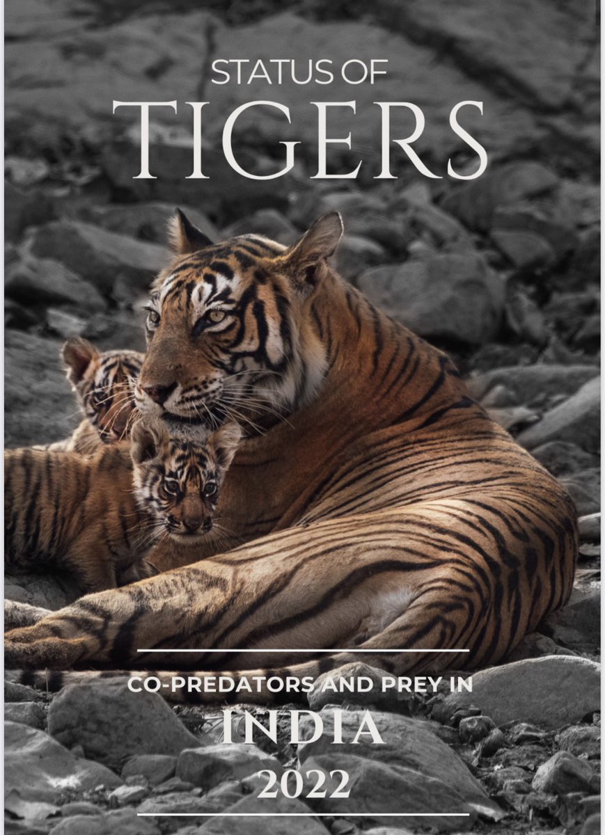 sandeepifs's tweet photo. India is home to 70% wild tigers of the planet!!
The Tiger Census 2022 final figures released today on the day of #InternationalTigerDay .
Congratulations to #MPFD for being no 1 #TigerState of country with 785 tigers , #Karnata being distant 2nd with 563 🐅 🐅.
#NTCA #MPFD . https://t.co/74xXzH9J6a