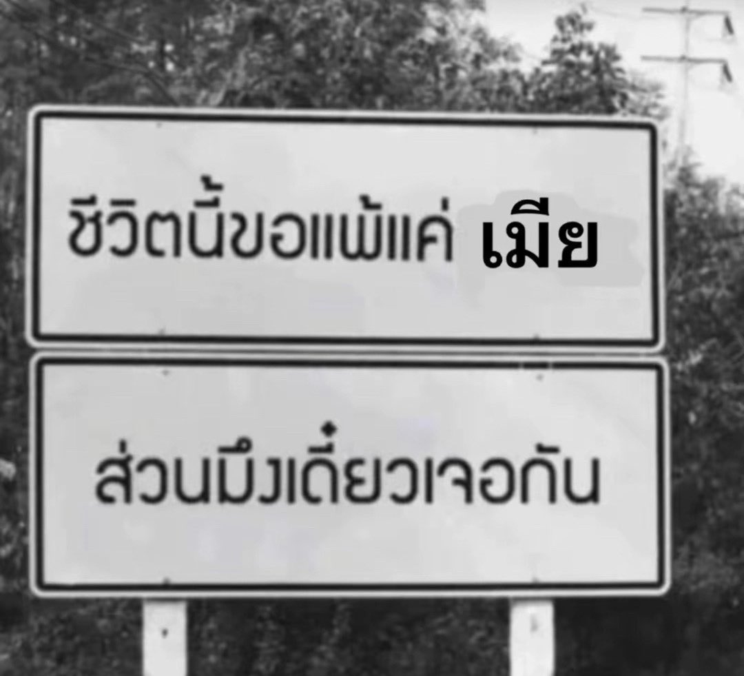 วาดิม tweet media