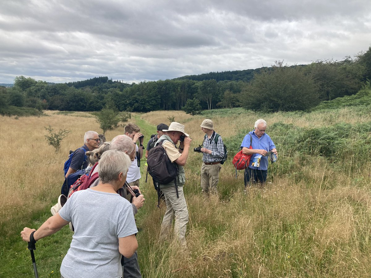 JamieAudsley's tweet photo. Here’s the moment our #Butterflies of #Woolhope walk spotted the Brown Argus butterfly. 

Want to connect to nature #Herefordshire?  

Check out our @HerefordshireWT events and experiences >> https://t.co/dqx6KMqP4y https://t.co/br7UaCSK10