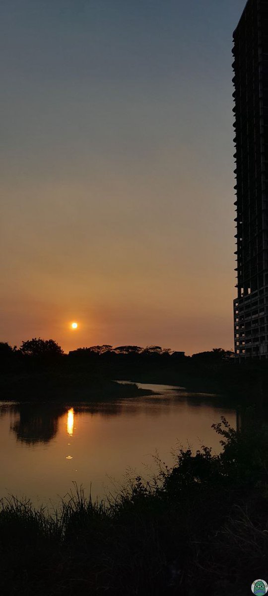 Tanyarlfes tweet media