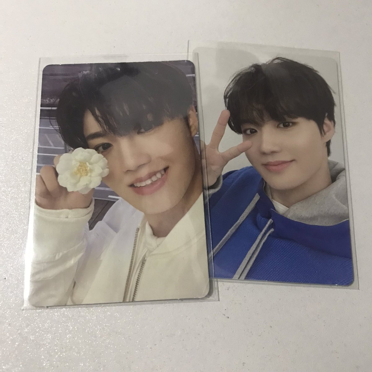 _simhauls's tweet photo. wts lfb ph | treasure ph SUPER SALE !

doyoung photocards set 
— ₱150 

-sco
-mint condi
-payo|can do reserv.

🖇 treasure haruto yoshi asahi  hyunsuk jihoon junkyu  jaehyuk yedam jeongwoo junghwan flower tss the second chapter one jikjin blue green version https://t.co/t32v27kWoU