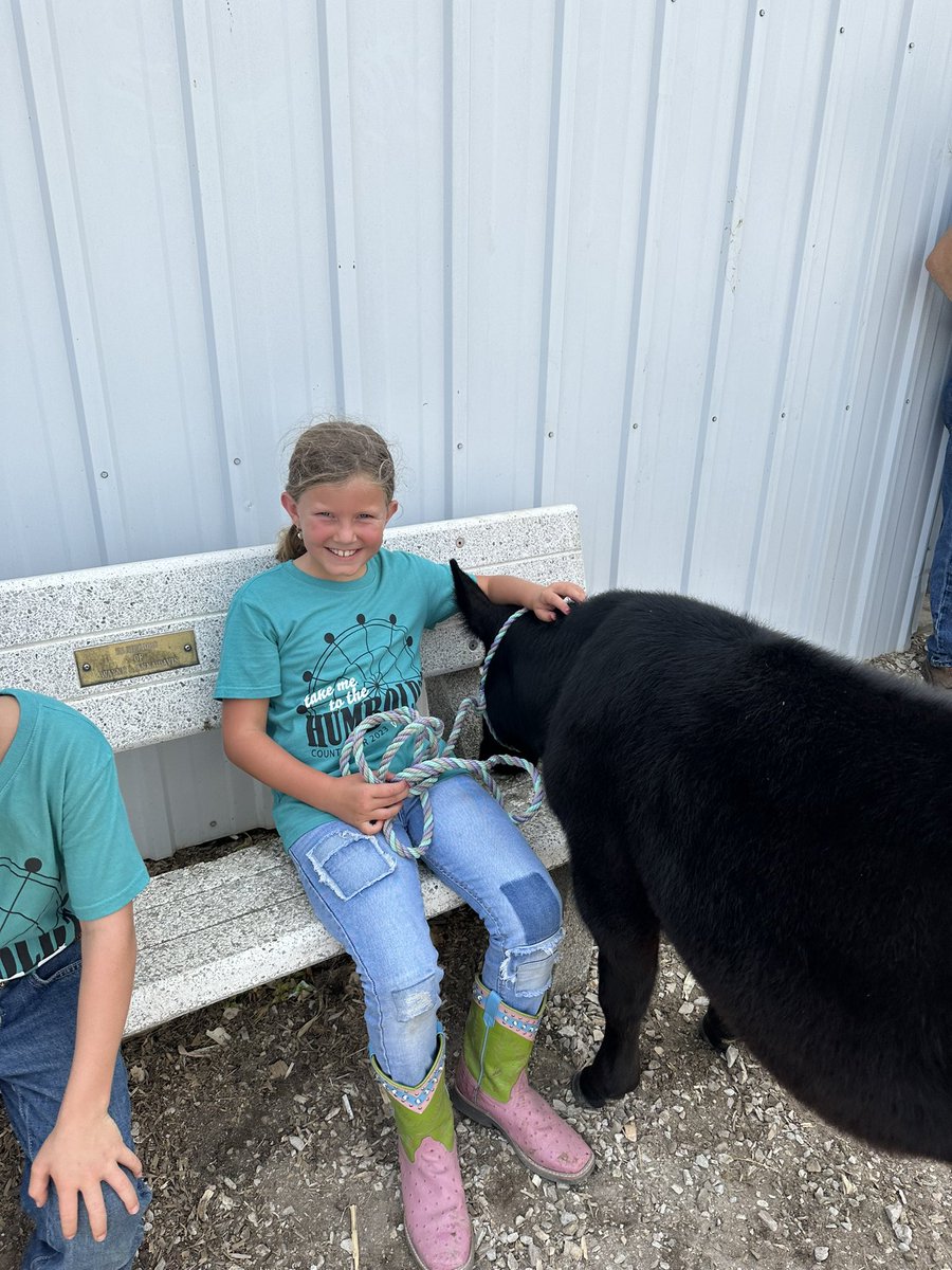 Despite the heat, Ava still had fun showing her calf Prince! We are very proud of her hard work. #4H
