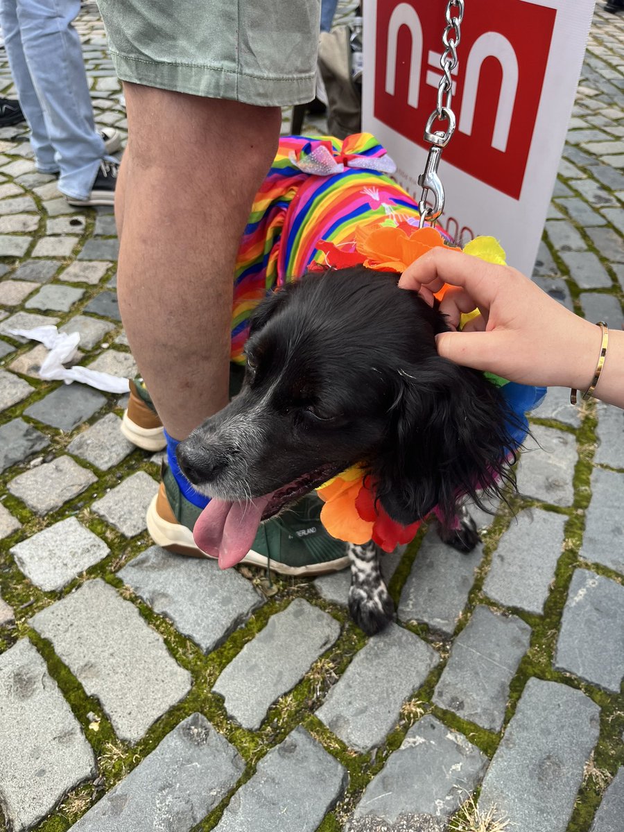 Joined by @PaSHinLiverpool dog Dorothy today for the @LCRPride parade!