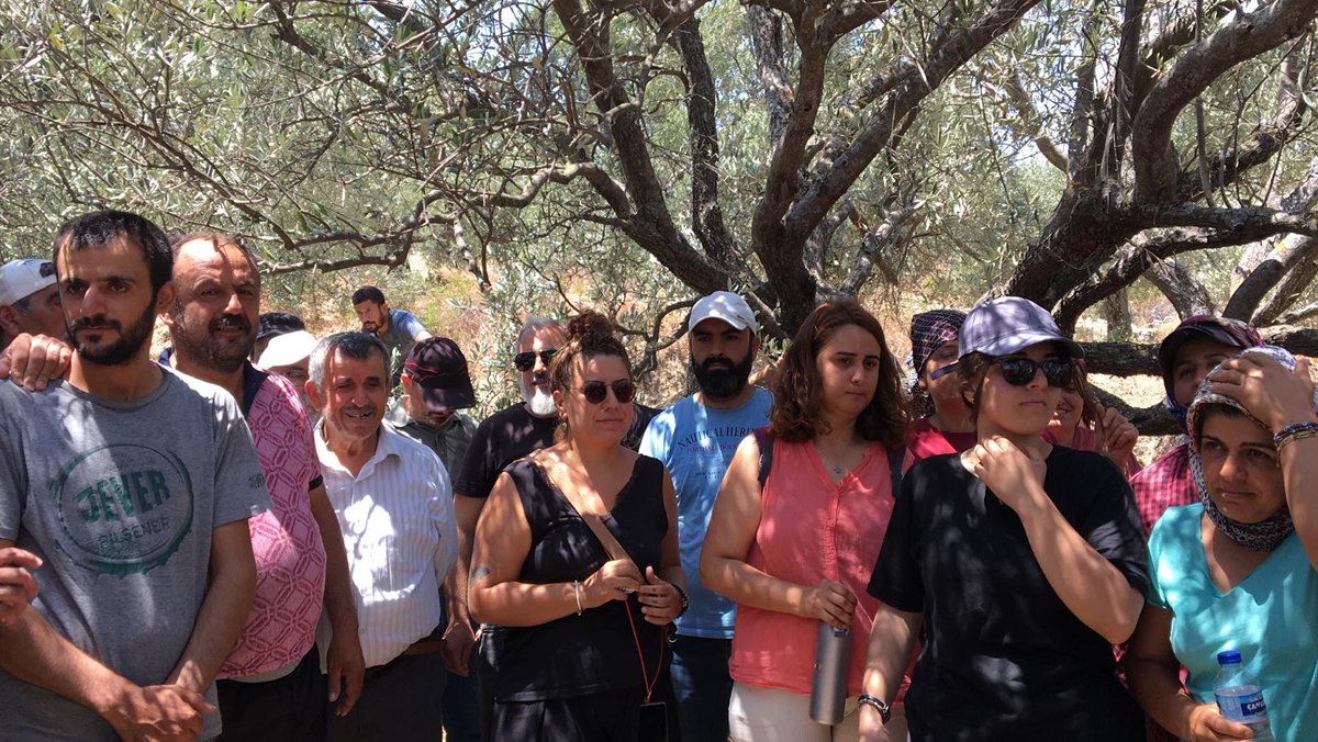 TipEkoloji's tweet photo. Hatay #Dikmece'de halkın zeytinliklerine ve tarım arazilerine, 14 Temmuz'da Meclisten geçen 18 ilde zeytinlikleri imara açma hamlesi ile TOKİ el koymaya çalışıyor.Hatay İl Örgütümüzün de desteğe gittiği Dikmeceliler iş makinelerini geri yolladı, #Akbelen'de direnenleri selamladı. https://t.co/WwHDICbccQ