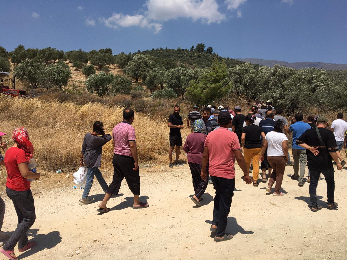 TipEkoloji's tweet photo. Hatay #Dikmece'de halkın zeytinliklerine ve tarım arazilerine, 14 Temmuz'da Meclisten geçen 18 ilde zeytinlikleri imara açma hamlesi ile TOKİ el koymaya çalışıyor.Hatay İl Örgütümüzün de desteğe gittiği Dikmeceliler iş makinelerini geri yolladı, #Akbelen'de direnenleri selamladı. https://t.co/WwHDICbccQ