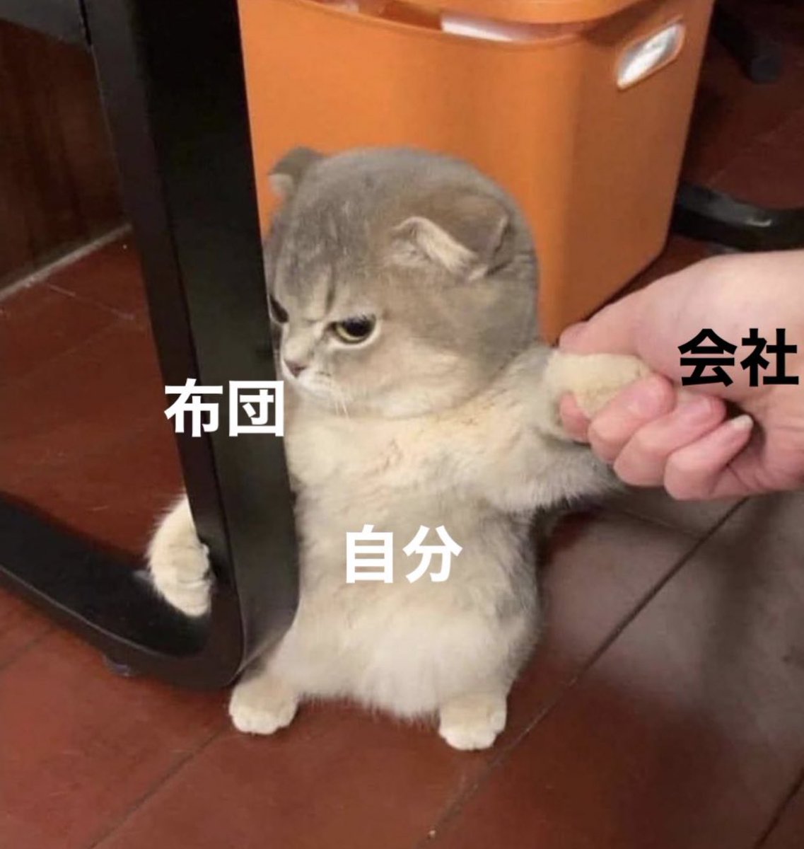 世の理