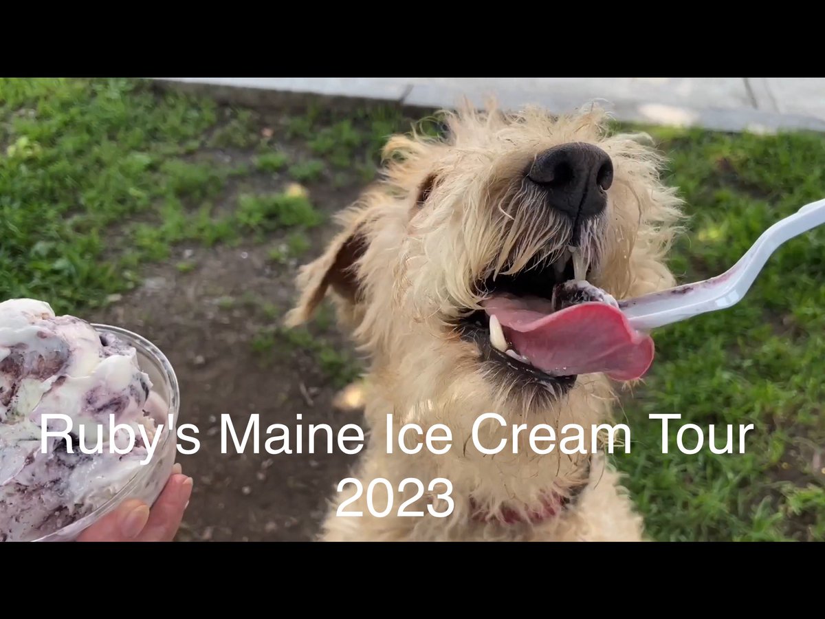 Watch Ruby's Maine Ice Cream Tour Summer - 2023 on YouTube 

youtu.be/qlEG-djDJlg

<a href="/visitmaine/">Maine Tourism Office</a> #maine #icecream #dogsoftwitter #summer2023 #SUMMERVACATION <a href="/newscentermaine/">NEWS CENTER Maine</a>
