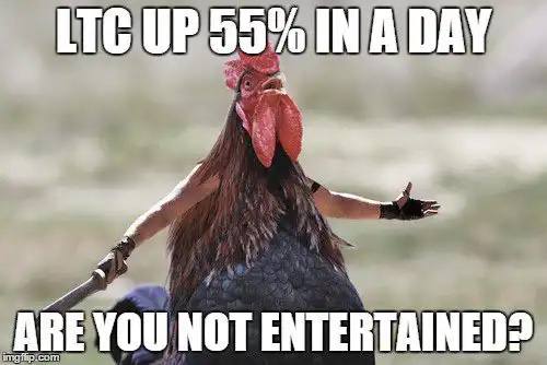 raybelty's tweet photo. @yourcryptodj 🌕🐔🔥 The Chikun is shaking up the crypto world with its community-driven token. Don't miss out on the excitement with #ChikunCrypto #ARISECHIKUN! https://t.co/OsZZEKqM9N