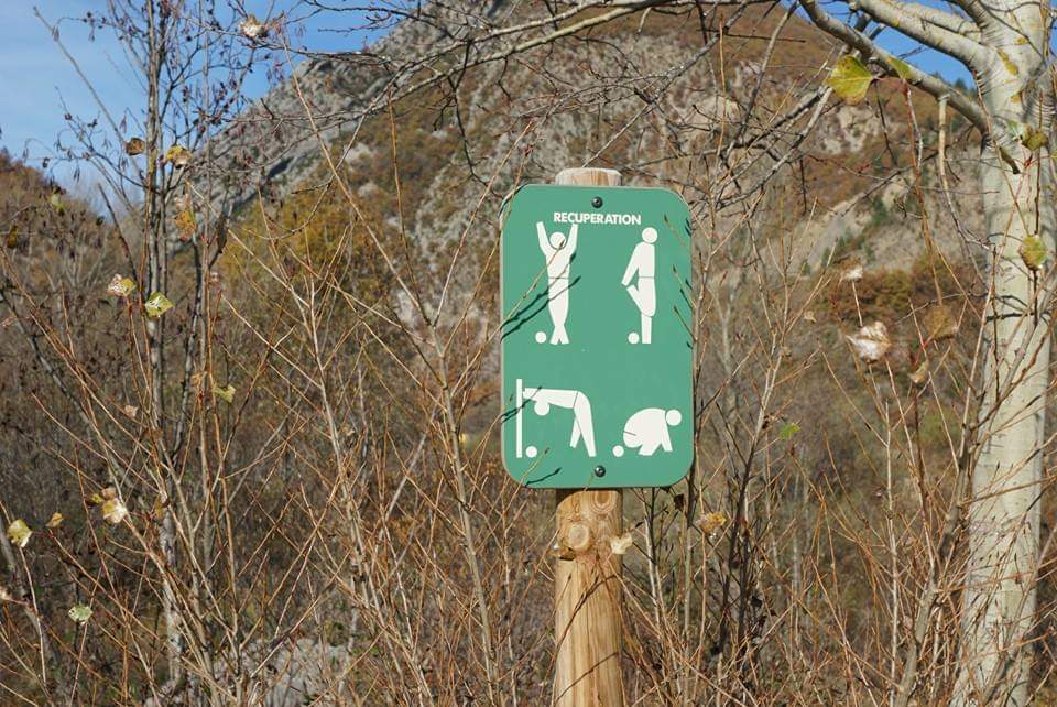 Borderie tweet media