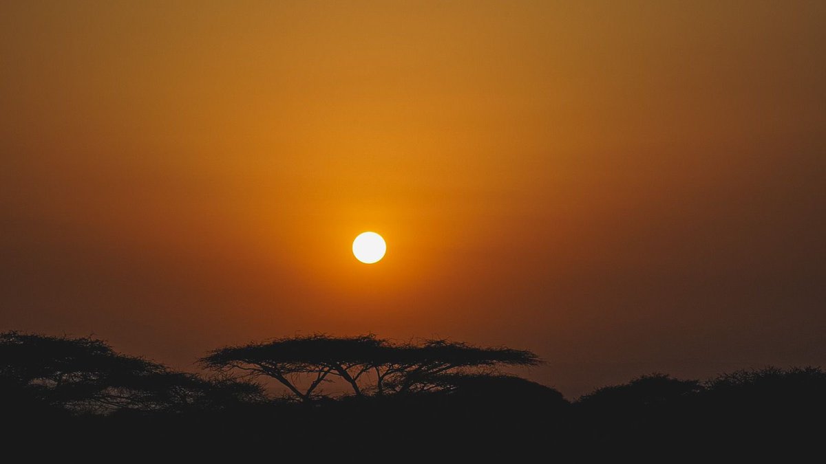 RidgewayPas's tweet photo. Phenomenal trip experiencing walking and driving safari @CampsInt in Tanzania for our students! @PE__MrA 🇹🇿👌 https://t.co/gfZScSVRF4