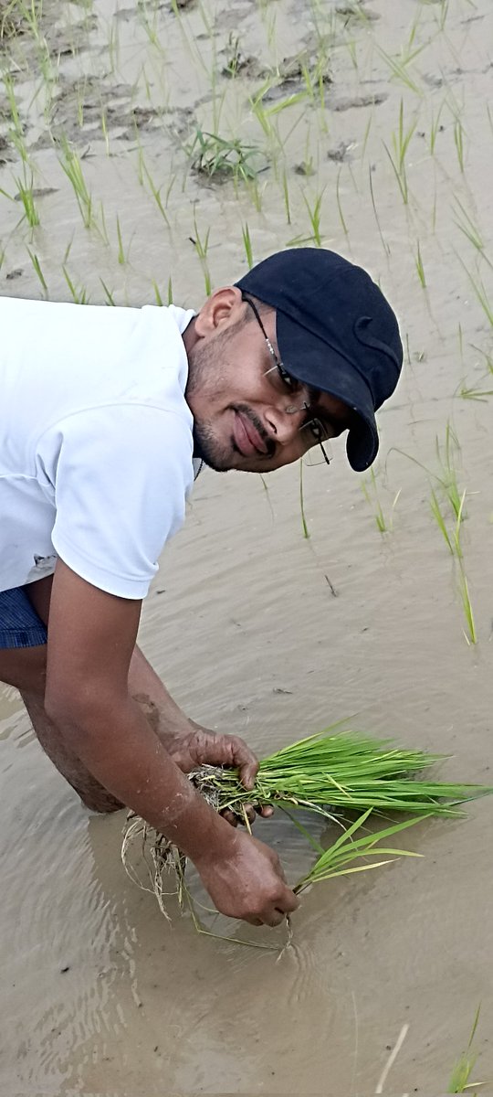 DrMrigendraPat1's tweet photo. हम लोग किसान के पुत्र है दिखावटी नही जमीन मे काम करते है।
#ropan
#dhan
@DrMrigendraPat1 @OBC_MP https://t.co/gvJIIfJGR1
