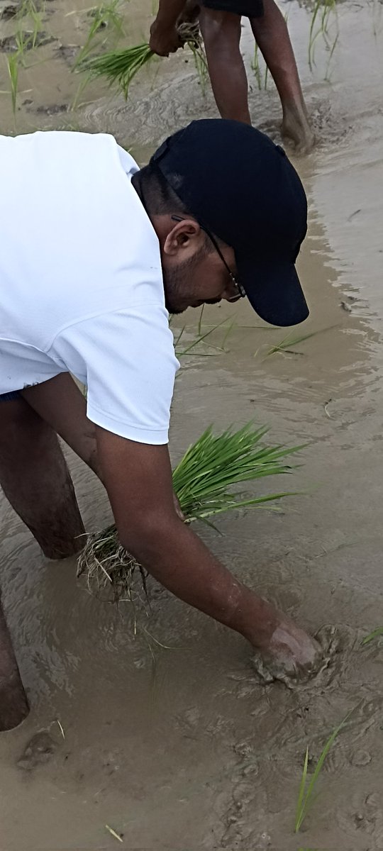 DrMrigendraPat1's tweet photo. हम लोग किसान के पुत्र है दिखावटी नही जमीन मे काम करते है।
#ropan
#dhan
@DrMrigendraPat1 @OBC_MP https://t.co/gvJIIfJGR1