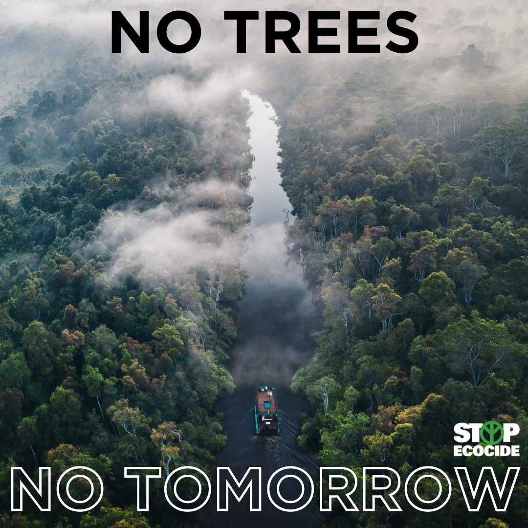 To avert #climatebreakdown, we cannot continue to destroy ecosystems, such as primary rainforests, that act as vital carbon sinks.

We want to make the wide-spread destruction of nature (#ecocide) an international crime.

YOU can help: stopecocide.earth/act-now

#StopEcocide