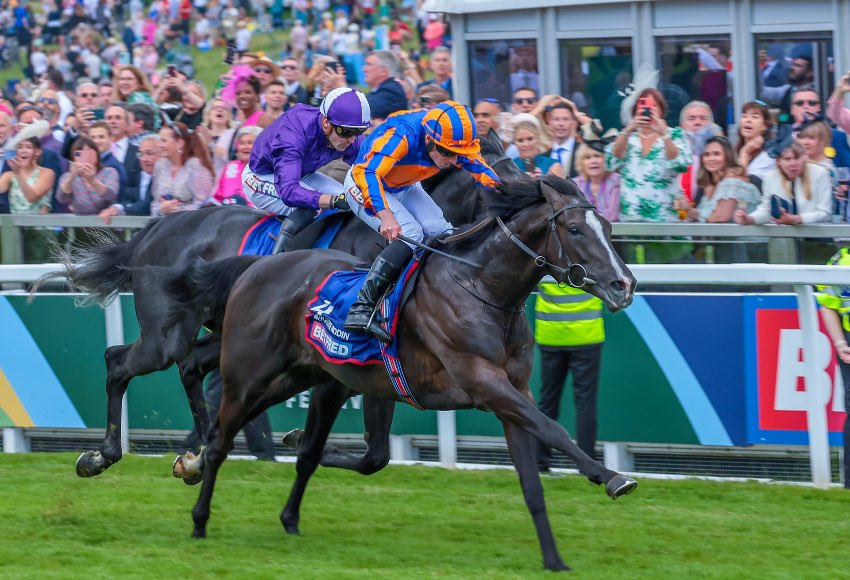 Ben Beard tweet media