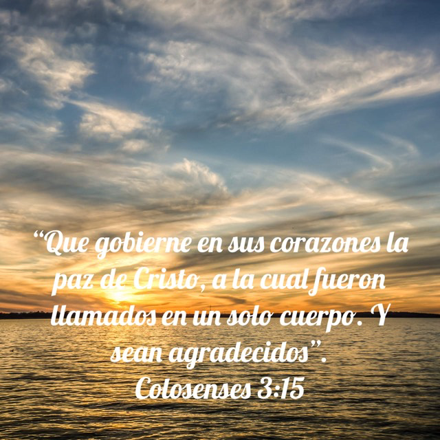 OmanaIvan's tweet photo. ¿Sientes que La Paz de Cristo mora en tu corazón? ¿Eres una persona agradecida? En nuestra oración para hoy pidamos esa paz y ese espíritu de amor que produce gratitud. FELIZ SABADO https://t.co/2VT4T9UwYm