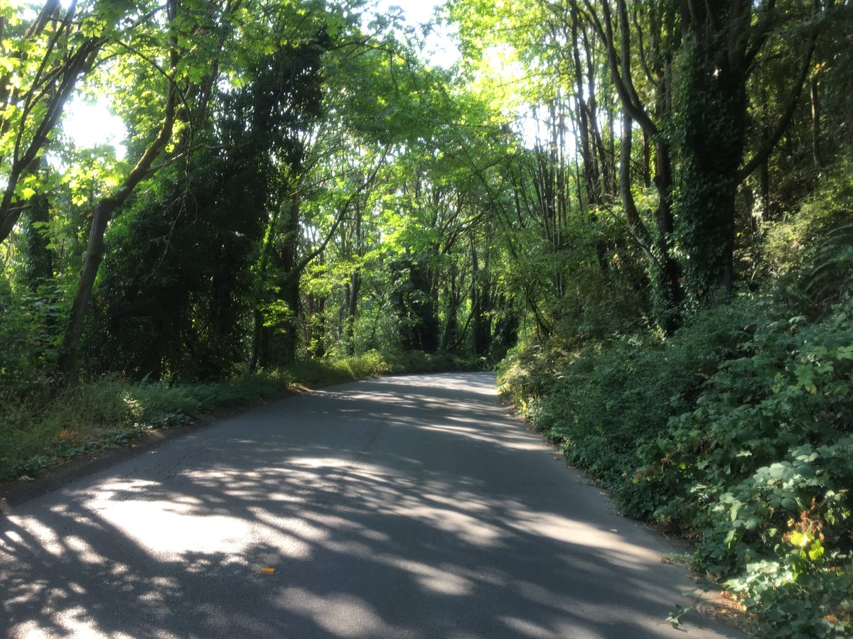 grounds_running's tweet image. 🏃Run 6 miles in Capitol Hill tinyurl.com/mpvbmevc

☕️Then coffee at Volunteer Park Cafe &amp;amp; Pantry tinyurl.com/bde33u45

🎵Listening to this week's playlist tinyurl.com/43wf7934

#Seattle #CapitolHill #Coffee #running #run