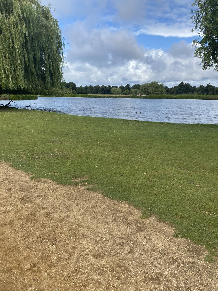 Spampoodle's tweet photo. Bushy Park Parkrun for us this morning. Not sure I’ve got much left in me 🤰🏃‍♀️🤦‍♀️ #7monthsPregnant #loveparkrun #runninguk https://t.co/jugycI8LDy