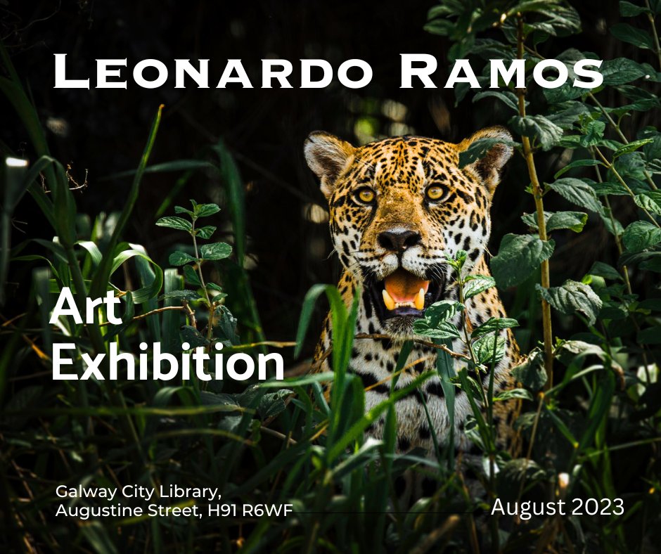 galwaycitylib's tweet image. Our August exhibition will be a #photography exhibition by Brazilian artist Leonardo Ramos who specialises in  photographing nature and wildlife. #LibraryExhibition #LibrariesAndArt #AtYourLibrary @LibrariesGalway