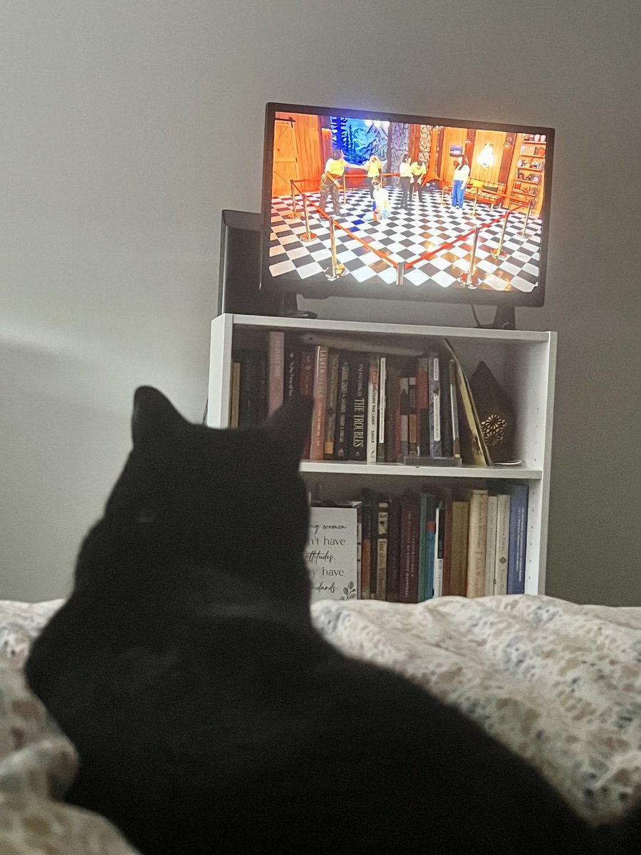 LilNaths_Sloth's tweet photo. I think Boo is enjoying this week’s #GoodMythicalWeekend @Mythical 🤣 https://t.co/e1fWqySYYs