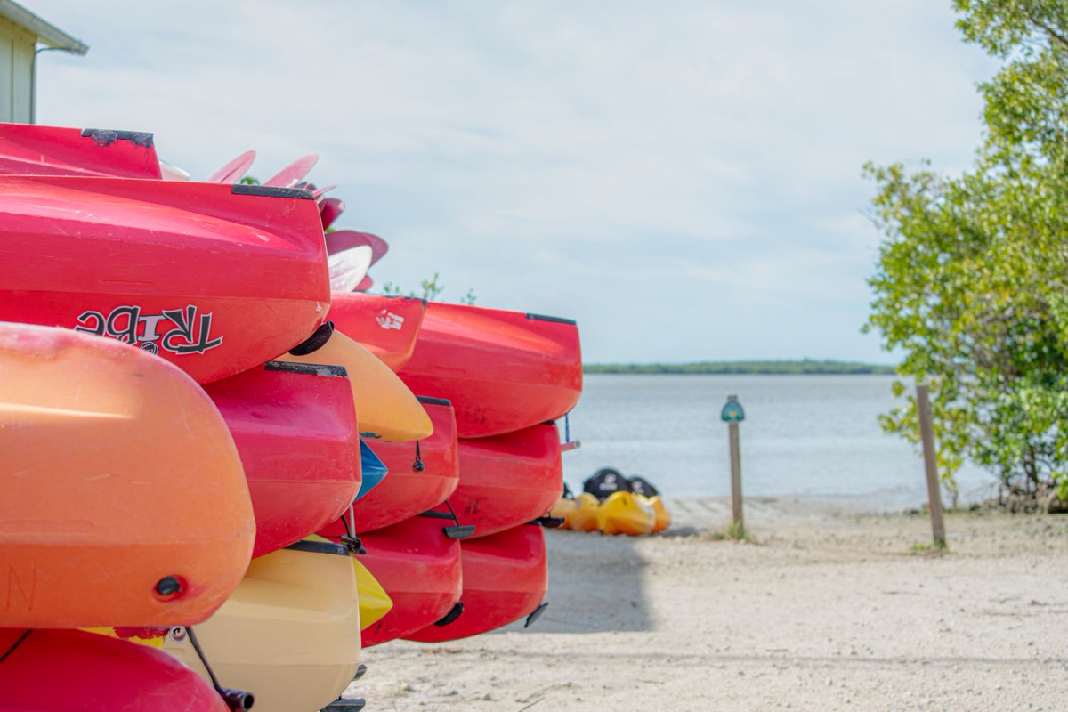 Rent a kayak, canoe, and more with us! Reserve now: evergladesfloridaadventures.com/activities-and… 🛶