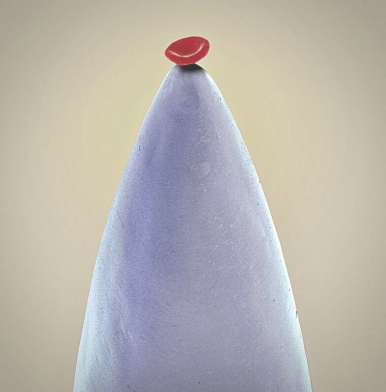 microscopic images. tweet media