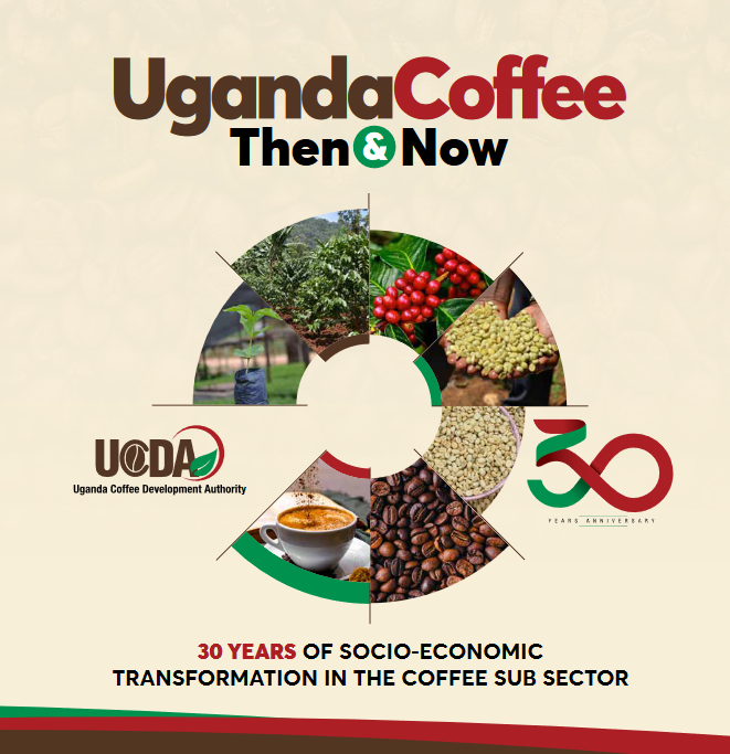 UgandaCoffee_'s tweet photo. Over the last 30 years, UCDA has been at the forefront of championing socio-economic transformation in the coffee sub sector.

UCDA interventions have seen coffee production &amp; exports rise. In FY22/23, coffee production was 6.7m bags &amp; exports totaled 5.76m bags worth US$ 846m. https://t.co/zX5Wf1ucVq