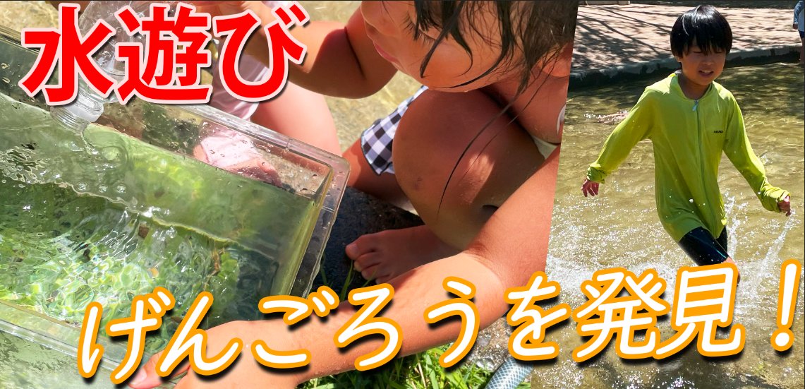 今日は水遊びです！
じゃぶじゃぶ池で大量のゲンゴロウを発見しました♪
暑い夏は水遊びが最高です！
みんなでホースや水鉄砲で遊んでいると、、 
なんと可愛いげんごろうを発見しました〜(^▽^)
みんなでいっぱい捕まえて、
楽しく遊ぶことができました〜。
#水遊び #げんごろう #じゃぶじゃぶ池