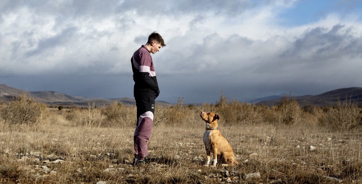 thoml75's tweet photo. Chien de la casse : Turbulences entre amis dans un village. Film attachant, drôle, sensible, émouvant, questionnant la masculinité avec une remarquable intelligence, réalisé avec talent par JB. Durand, incarné avec une parfaite justesse par R. Quenard et A. Bajon. Coup de coeur ! https://t.co/M4EtHWgEaa