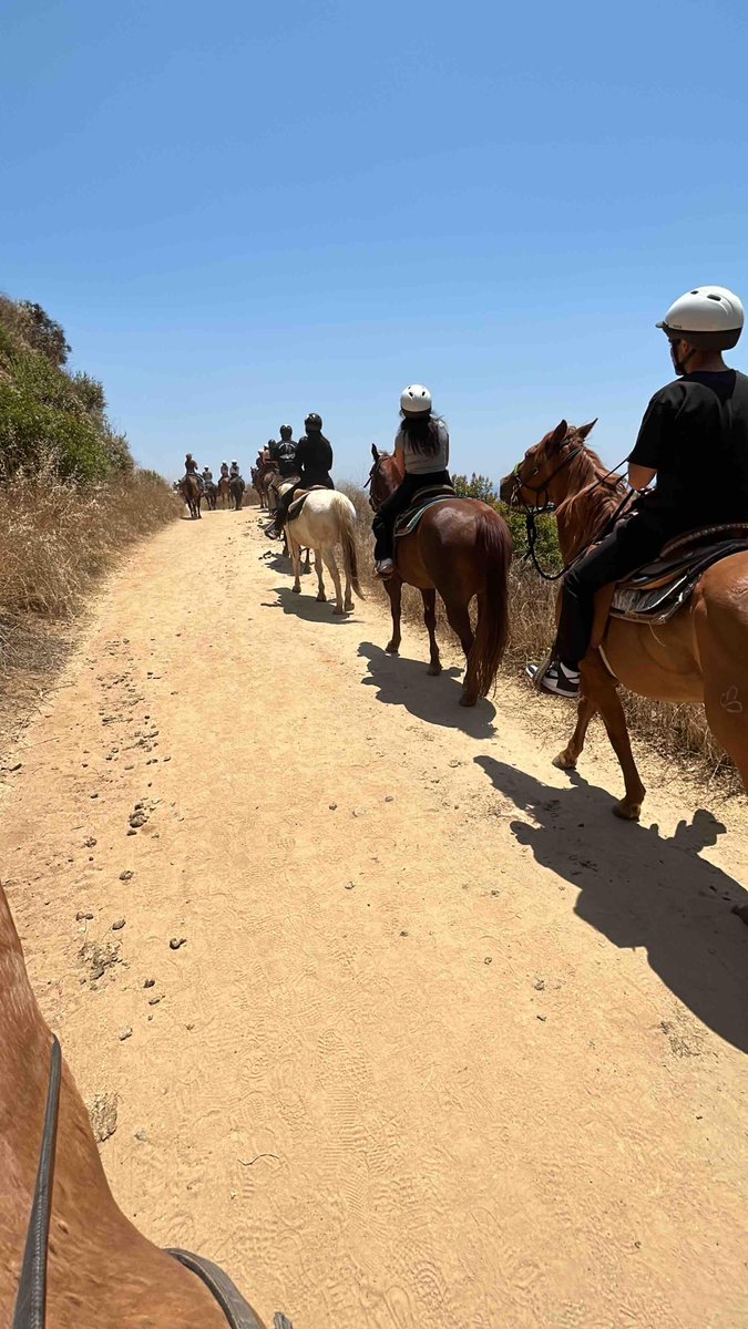 SunsetRanchLA's tweet image. Another beautiful day 

#summer2023 #sunsetranchhollywood #hollywoodsign #hollywood