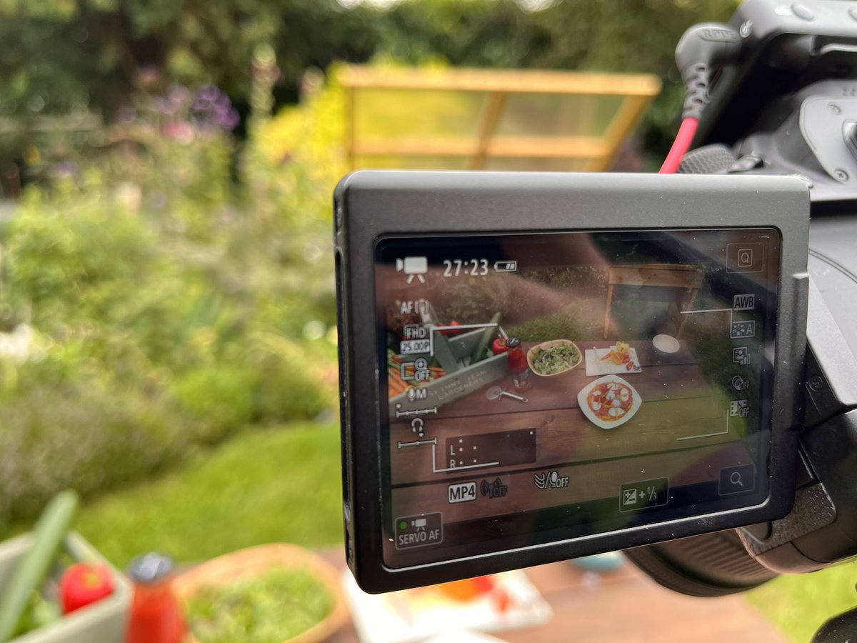 Children's Gardening Coach tweet media