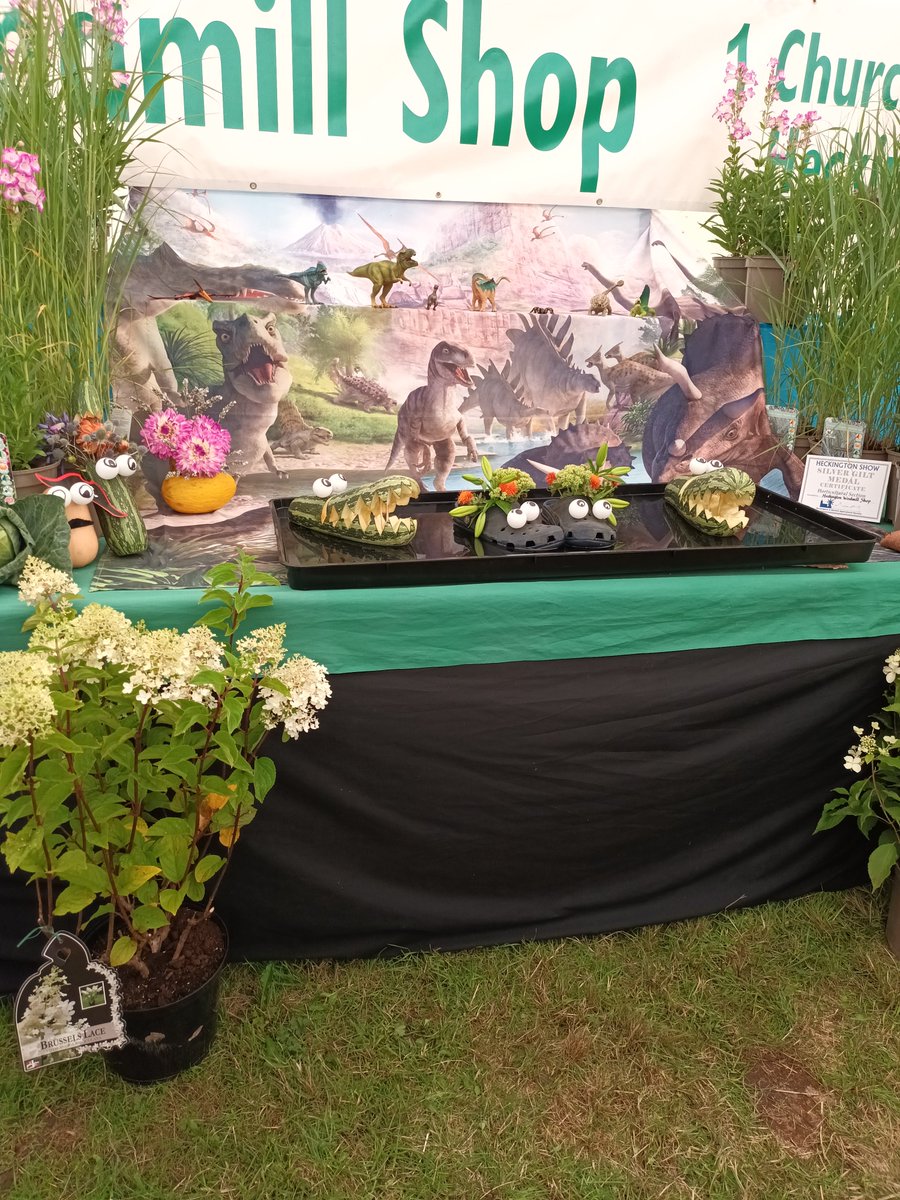 MelJD46's tweet photo. Just a few snaps from #HeckingtonShow today . Have had a lovely day out. Now a snooze after a cuppa methinks https://t.co/1Q78cvYtw1