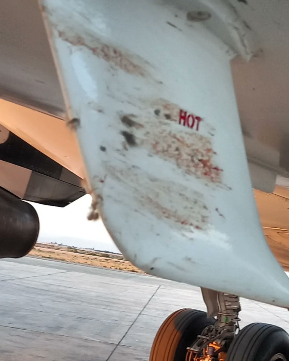 🦅Bird Strike🦅
Aircraft recovered from AOG in less than 24 hours.
#aircraftmaintenance #aog #aircraftinteriors #aviationmechanic #aircraftmechanic #aviation #aircraft #airplane #aviationgeek #airport #airbus #airportdxb #aviationdaily #boeing #emirates #DXB  #a320 #lufthansa