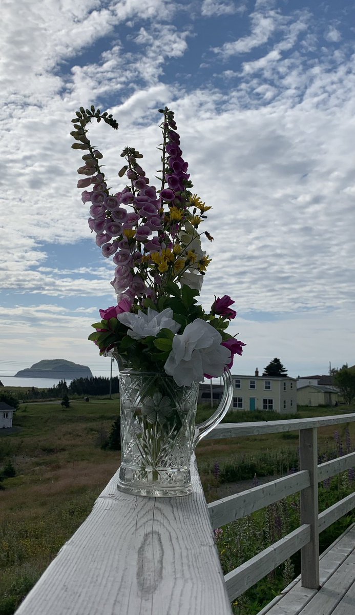 michploughman's tweet photo. PIs canβt really take time off completely from the lab however I have asked my group to hesitate before emailing me for the next two weeks #portrexton @MUNMed @MUNneuro https://t.co/z296voWUXp