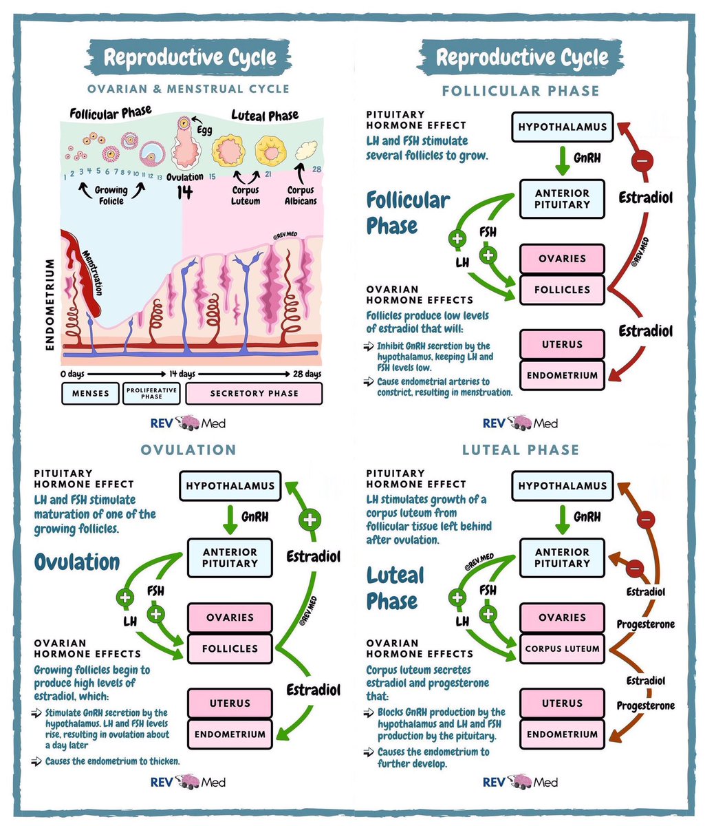 Advances in Reproduction tweet media