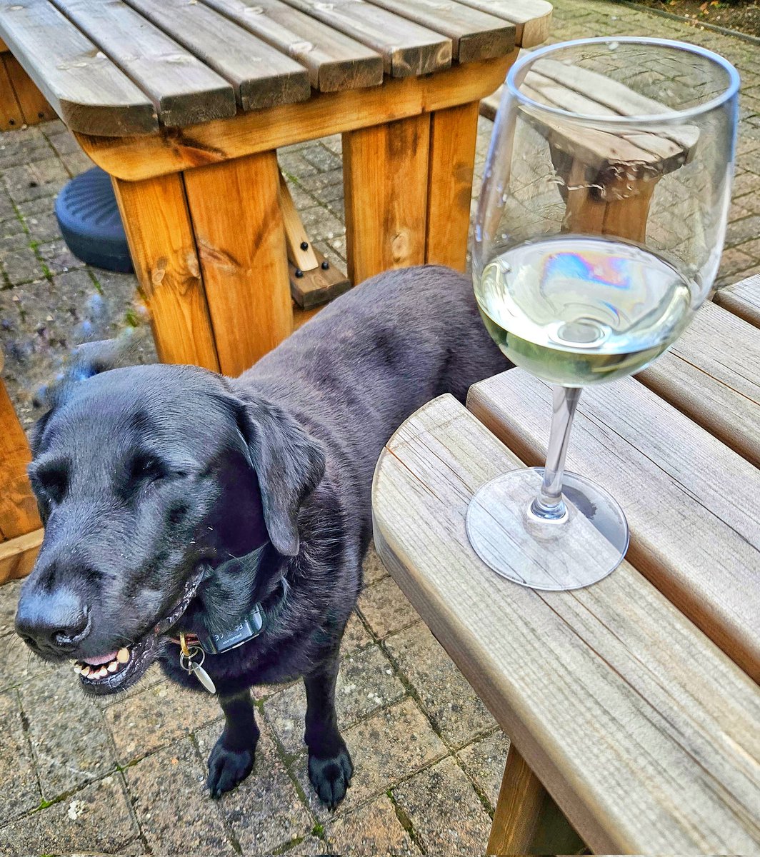 Cellar Rats tweet media