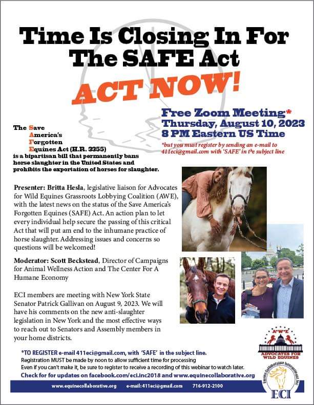 Please support Equine Act (H.R. 3355) and stop the round ups!! 
The wild horses of America are counting on all of us to be their voice!!

Be sure to register and bring your questions!! 

#PassTheSafeAct #SecureTheirFuture
#BeTheirVoice 
#BeTheirHope #EquineLife #SaveOurWildHorses