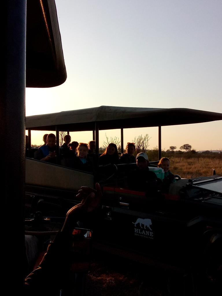 Sunrise safari 🌄