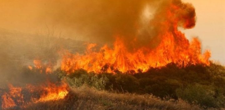 DandoulakiMaria's tweet photo. the #climatecrisis is real, but it is amazing how quickly our elites in Southern Europe went from "denying and ignoring it" to deliberatively using the term to cover for their incompetence and murderous policies
#arsons #ClimateEmergency https://t.co/KaZgccPtse