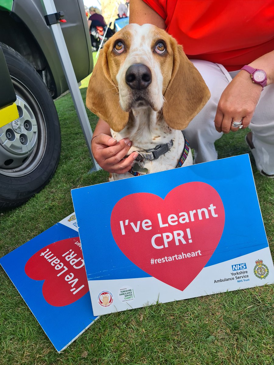 AmbuLew's tweet photo. BaileyDog knows how to do CPR!
@YorksAmbulance #BeLikeBailey https://t.co/k3qyHDzNsM