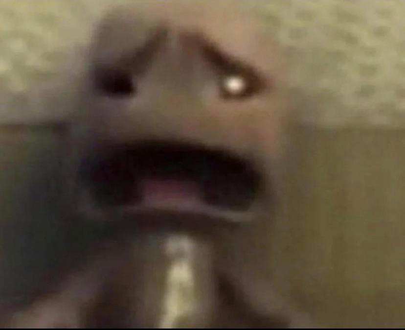 Chaotic_Tordle tweet media