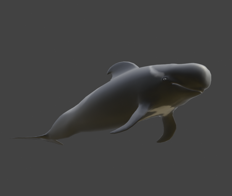 MajorGalah's tweet photo. HEY GUYS PILOT WHALE NEWS!

i have uploaded my old short fin pilot whale model to Sktechfab for FREE. It is animated with a swim animation so feel free to use it in whatever projects you want. 
https://t.co/yzzHZNhoXc

#3dart #blender #Whales #whale #Dolphins #free3D 
#3D https://t.co/ios9GQ7tGy
