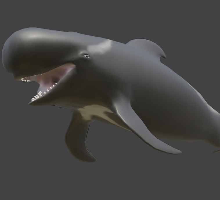 MajorGalah's tweet photo. HEY GUYS PILOT WHALE NEWS!

i have uploaded my old short fin pilot whale model to Sktechfab for FREE. It is animated with a swim animation so feel free to use it in whatever projects you want. 
https://t.co/yzzHZNhoXc

#3dart #blender #Whales #whale #Dolphins #free3D 
#3D https://t.co/ios9GQ7tGy