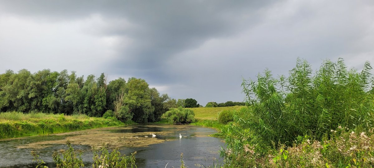 Kittydabunik's tweet photo. #buitje #regenbui #mooieluchten #kletsnat 😂😂😂 https://t.co/ZKSwOtPGDp
