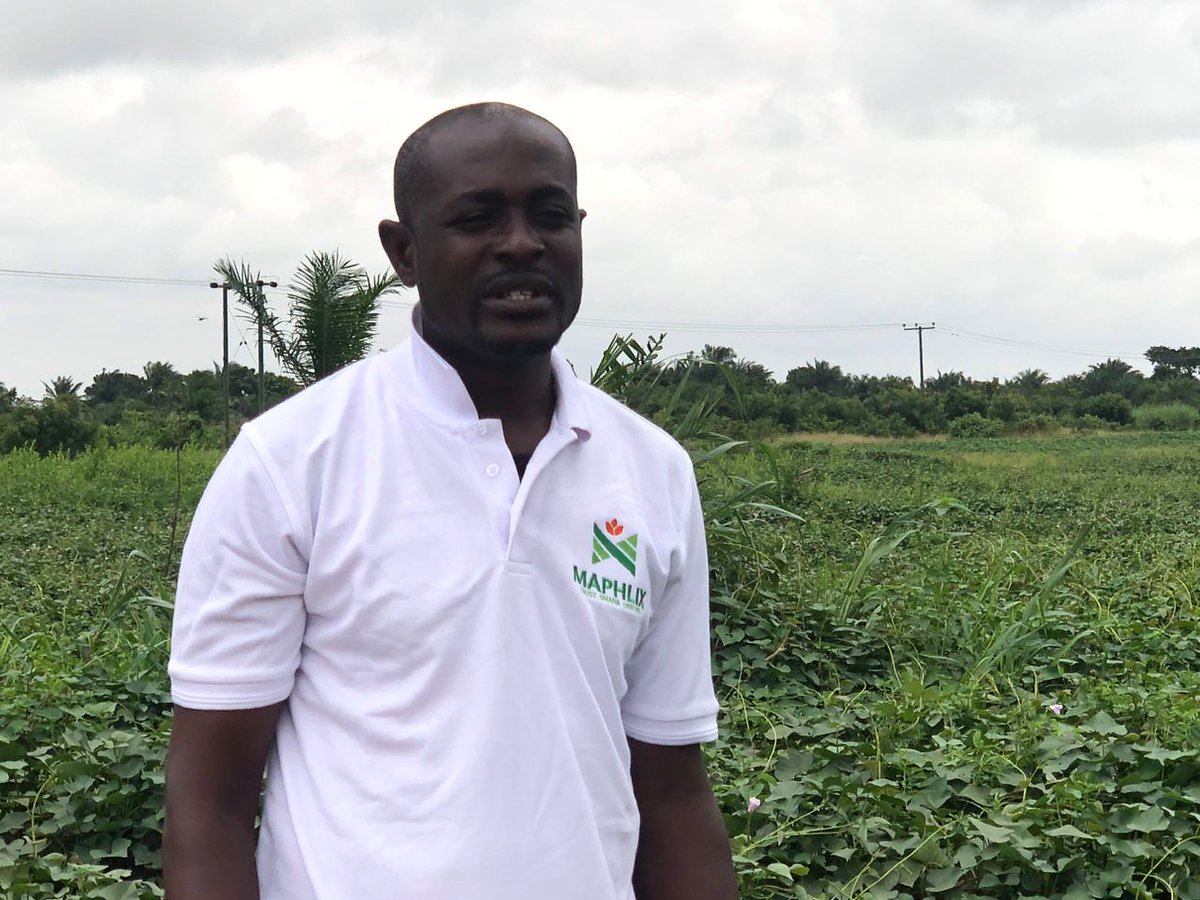 Alleviating food insecurity in Africa, we must be intentional about it. #MaphlixTrustFarms is keen to address food insecurity in Ghana and Africa as a whole. Let's be intentional about farming, and it is greatly rewarding.